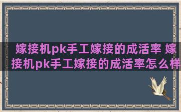 嫁接机pk手工嫁接的成活率 嫁接机pk手工嫁接的成活率怎么样